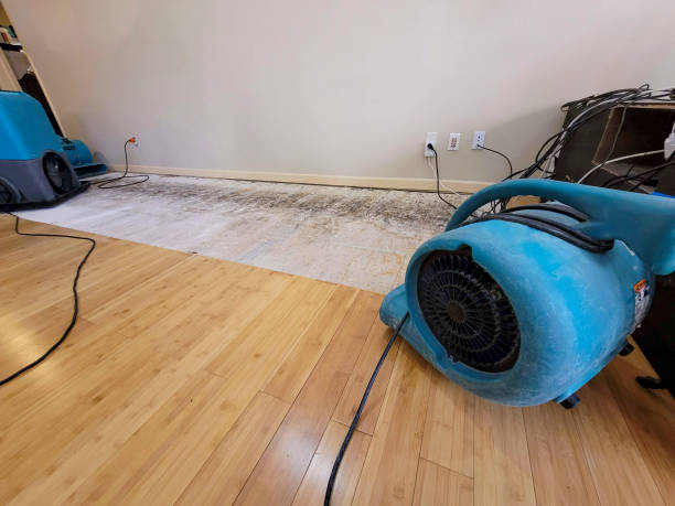 Professional Burst Pipe Water Damage technician working in Buffalo, OK